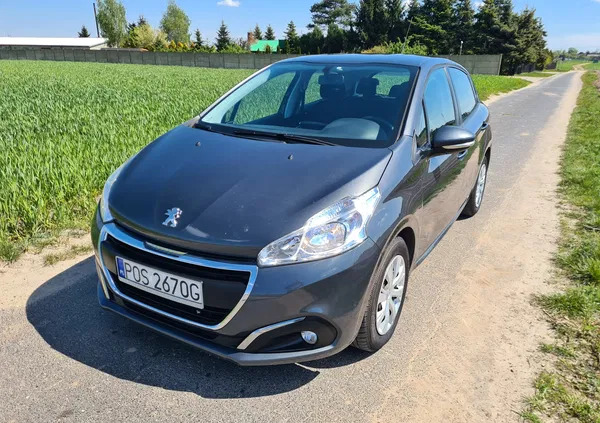 Peugeot 208 cena 24900 przebieg: 198000, rok produkcji 2016 z Strzelce Krajeńskie małe 172